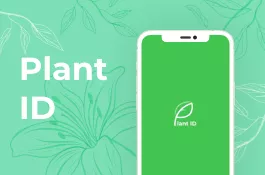 PLANT ID - IDENTIFY & DISCOVERY PLANTS